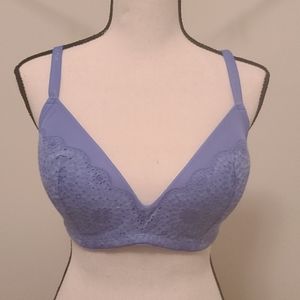 NWT Aerie Baby Blue 34DD Bra